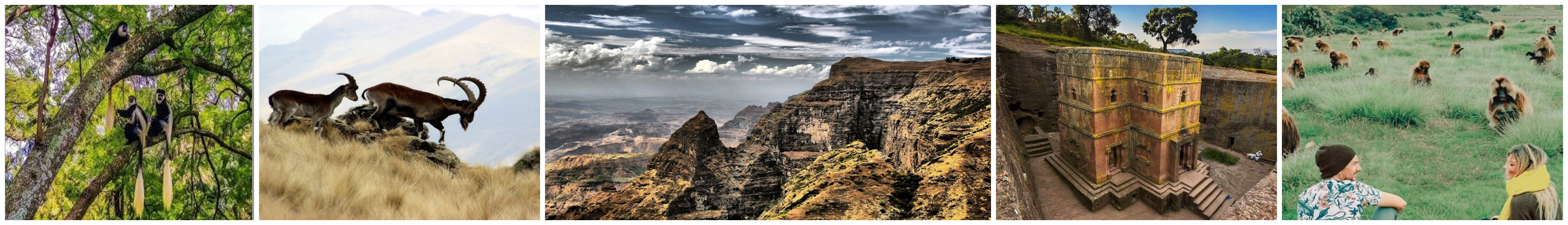 Incredible Places to Visit