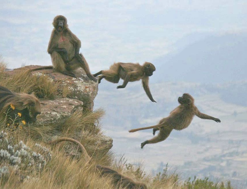 Incredible Places to Visit